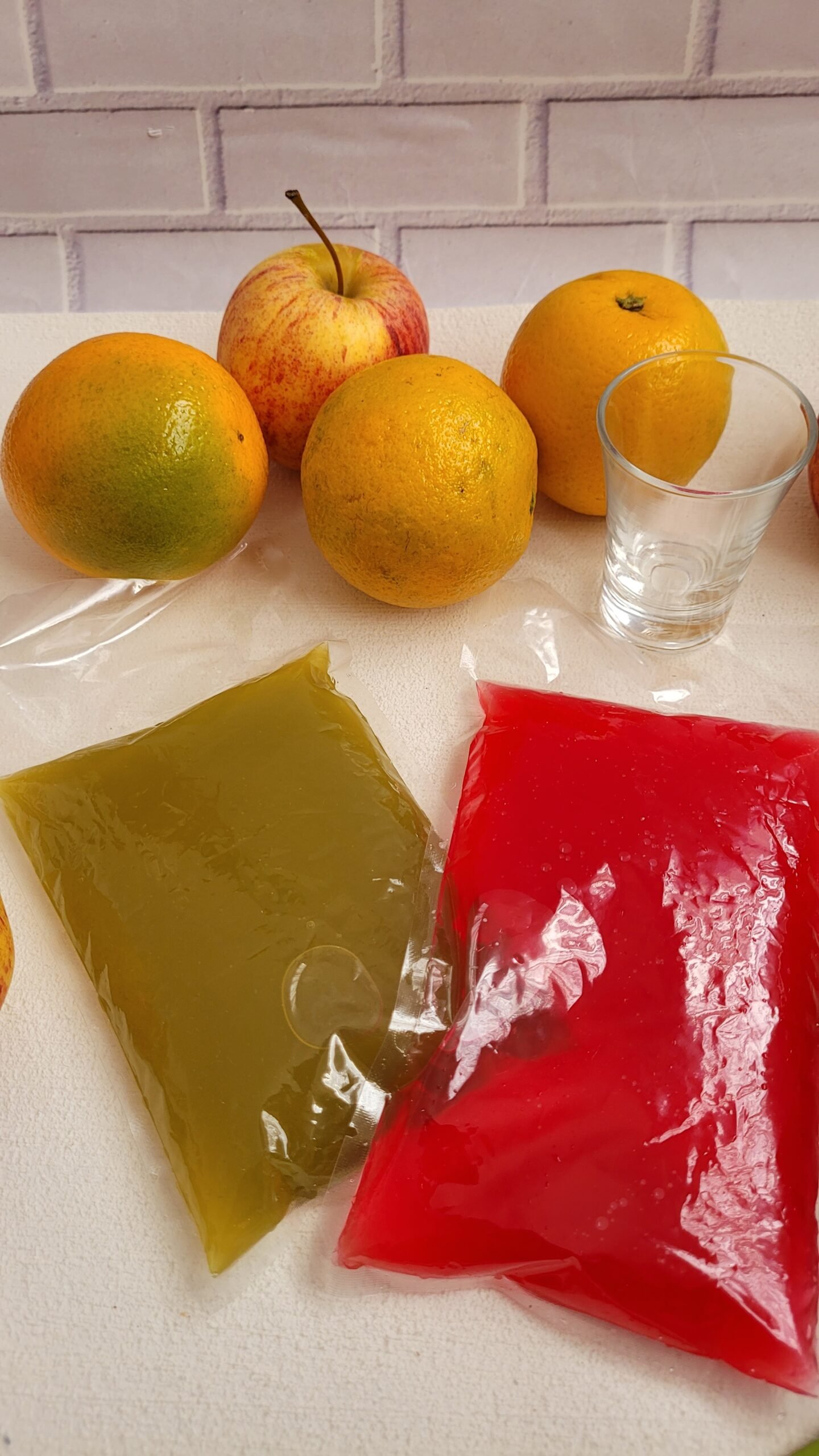 Exemplo de caldo bariátrico preparado pela Donantonia